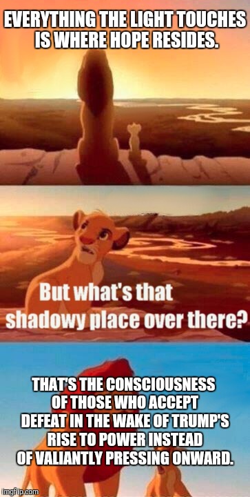 Simba Shadowy Place | EVERYTHING THE LIGHT TOUCHES IS WHERE HOPE RESIDES. THAT'S THE CONSCIOUSNESS OF THOSE WHO ACCEPT DEFEAT IN THE WAKE OF TRUMP'S RISE TO POWER INSTEAD OF VALIANTLY PRESSING ONWARD. | image tagged in memes,simba shadowy place | made w/ Imgflip meme maker