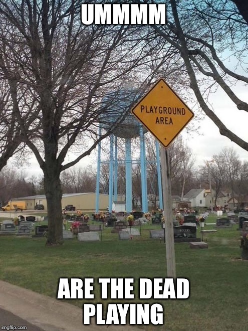 UMMMM; ARE THE DEAD PLAYING | image tagged in dead | made w/ Imgflip meme maker