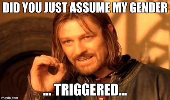 One Does Not Simply Meme | DID YOU JUST ASSUME MY GENDER; ...
TRIGGERED... | image tagged in memes,one does not simply | made w/ Imgflip meme maker