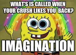 Spongebob... It's so true... | WHAT'S IS CALLED WHEN YOUR CRUSH LIKES YOU  BACK? IMAGINATION | image tagged in spongebob,imagination spongebob,imagination,spongebob squarepants | made w/ Imgflip meme maker