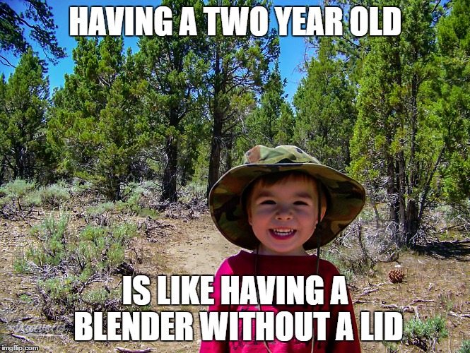 having a two year old | HAVING A TWO YEAR OLD; IS LIKE HAVING A BLENDER WITHOUT A LID | image tagged in memes | made w/ Imgflip meme maker