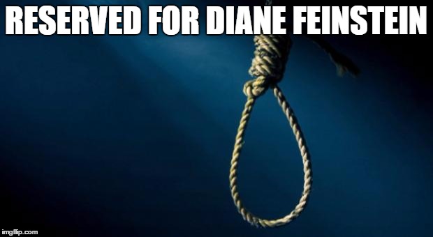 Noose | RESERVED FOR DIANE FEINSTEIN | image tagged in noose,memes | made w/ Imgflip meme maker