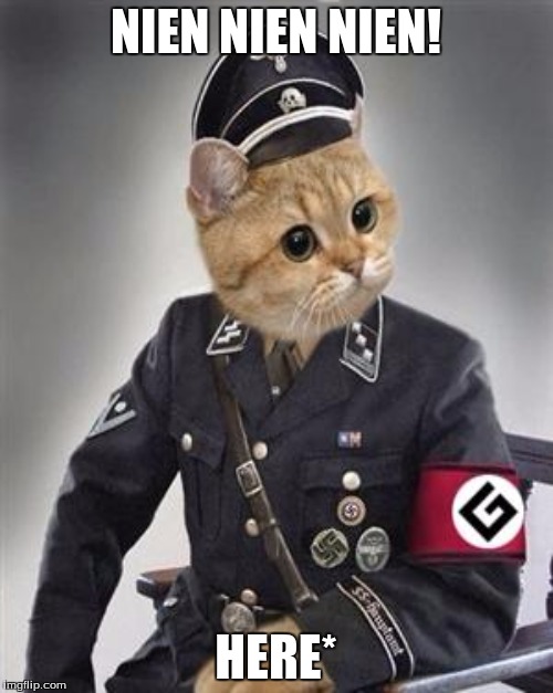 NIEN NIEN NIEN! HERE* | made w/ Imgflip meme maker
