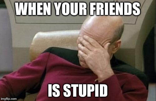 Captain Picard Facepalm | WHEN YOUR FRIENDS; IS STUPID | image tagged in memes,captain picard facepalm | made w/ Imgflip meme maker