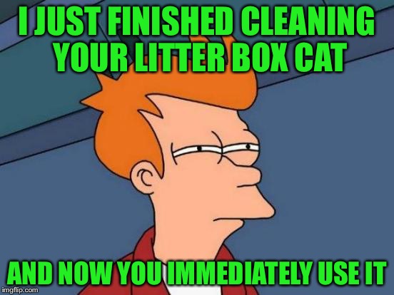 My cats always want to use the litter box right after scooping it, why!? | I JUST FINISHED CLEANING YOUR LITTER BOX CAT; AND NOW YOU IMMEDIATELY USE IT | image tagged in memes,futurama fry,animals,cats,litter box,the face i make | made w/ Imgflip meme maker