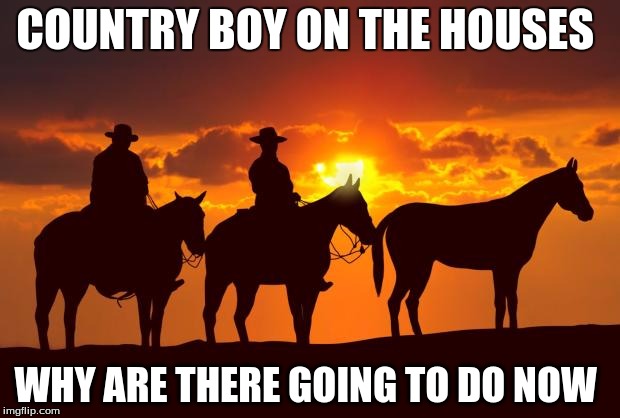 Cowboys | COUNTRY BOY ON THE HOUSES; WHY ARE THERE GOING TO DO NOW | image tagged in cowboys | made w/ Imgflip meme maker