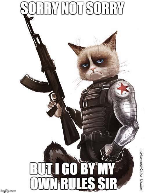 SORRY NOT SORRY BUT I GO BY MY OWN RULES SIR | made w/ Imgflip meme maker