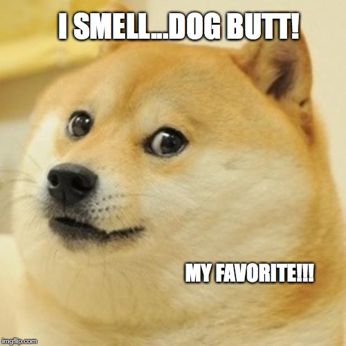 Doge | I SMELL...DOG BUTT! MY FAVORITE!!! | image tagged in memes,doge | made w/ Imgflip meme maker