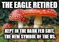 The Eagle retired as Americans are now grown mushrooms. | THE EAGLE RETIRED; KEPT IN THE DARK FED SHIT, THE NEW SYMBOL OF THE US. | image tagged in 45,gop dream,corporatocracy,whimps | made w/ Imgflip meme maker