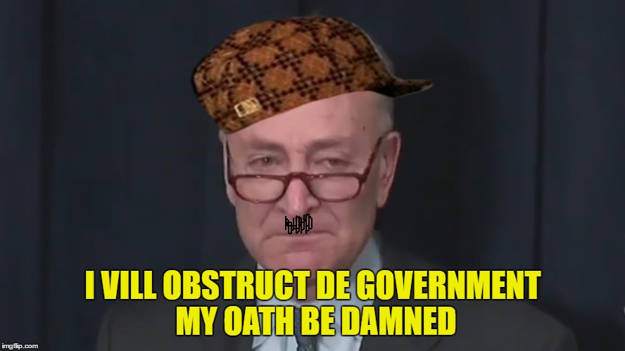 Schumer Pussy | I VILL OBSTRUCT DE GOVERNMENT MY OATH BE DAMNED | image tagged in schumer pussy,scumbag | made w/ Imgflip meme maker