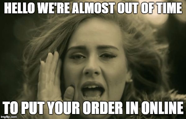 adele hello | HELLO WE'RE ALMOST OUT OF TIME; TO PUT YOUR ORDER IN ONLINE | image tagged in adele hello | made w/ Imgflip meme maker