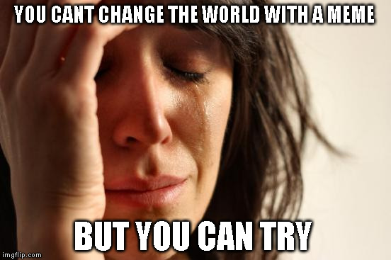 First World Problems | YOU CANT CHANGE THE WORLD WITH A MEME; BUT YOU CAN TRY | image tagged in memes,first world problems | made w/ Imgflip meme maker
