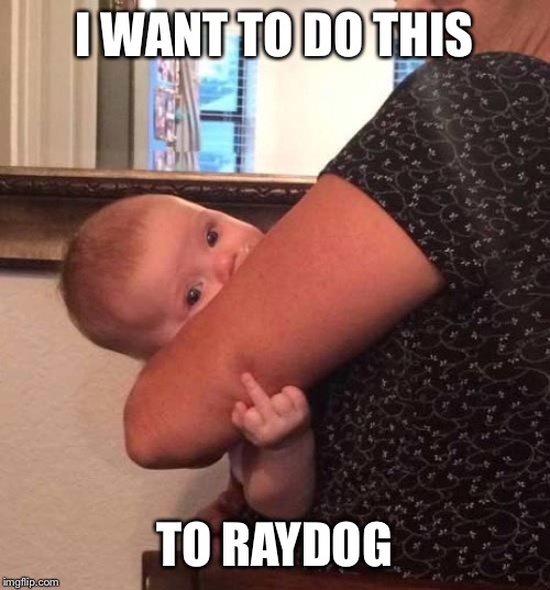 Baby Flipping The Bird | I WANT TO DO THIS; TO RAYDOG | image tagged in baby flipping the bird | made w/ Imgflip meme maker