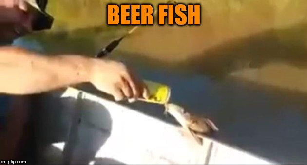 BEER FISH | made w/ Imgflip meme maker