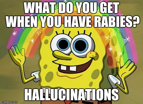 Imagination Spongebob Meme | WHAT DO YOU GET WHEN YOU HAVE RABIES? HALLUCINATIONS | image tagged in memes,imagination spongebob | made w/ Imgflip meme maker