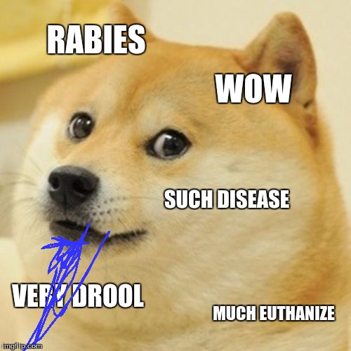 Doge | RABIES; WOW; SUCH DISEASE; VERY DROOL; MUCH EUTHANIZE | image tagged in memes,doge | made w/ Imgflip meme maker