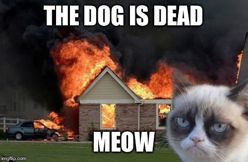 Burn Kitty Meme | THE DOG IS DEAD; MEOW | image tagged in memes,burn kitty,grumpy cat | made w/ Imgflip meme maker