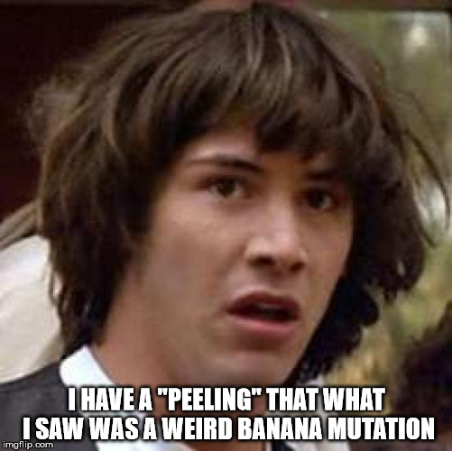 Conspiracy Keanu | I HAVE A "PEELING" THAT WHAT I SAW WAS A WEIRD BANANA MUTATION | image tagged in memes,conspiracy keanu | made w/ Imgflip meme maker
