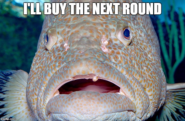 I'LL BUY THE NEXT ROUND | made w/ Imgflip meme maker