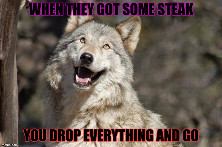 Optimistic Moon Moon Wolf Vanadium Wolf | WHEN THEY GOT SOME STEAK; YOU DROP EVERYTHING AND GO | image tagged in optimistic moon moon wolf vanadium wolf | made w/ Imgflip meme maker
