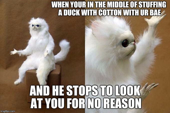 WHEN YOUR IN THE MIDDLE OF STUFFING A DUCK WITH COTTON WITH UR BAE AND HE STOPS TO LOOK AT YOU FOR NO REASON | made w/ Imgflip meme maker