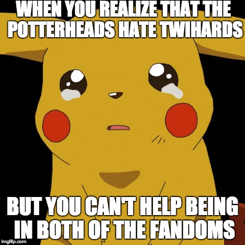 Pikachu crying | WHEN YOU REALIZE THAT THE POTTERHEADS HATE TWIHARDS; BUT YOU CAN'T HELP BEING IN BOTH OF THE FANDOMS | image tagged in pikachu crying | made w/ Imgflip meme maker