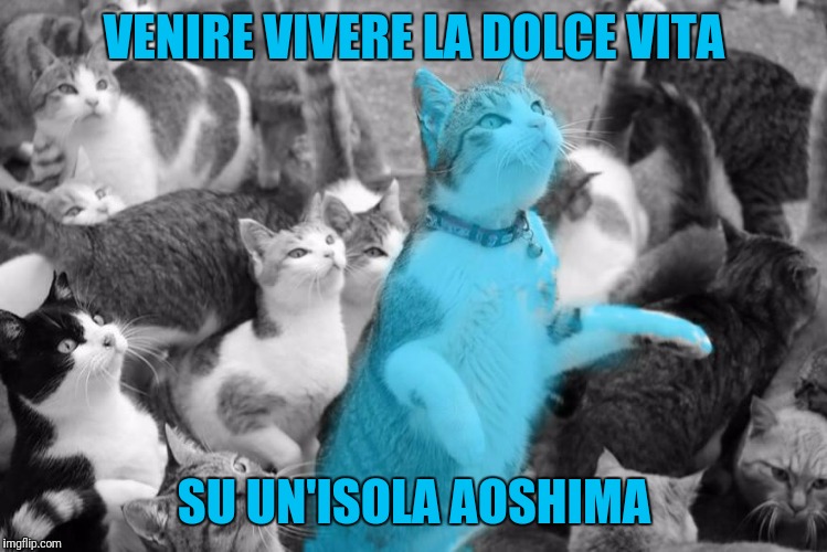 VENIRE VIVERE LA DOLCE VITA SU UN'ISOLA AOSHIMA | image tagged in aoshima,raycat,sweet life | made w/ Imgflip meme maker