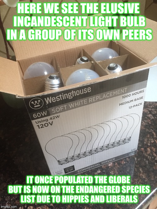 A rare image of an incandescent bulb | HERE WE SEE THE ELUSIVE INCANDESCENT LIGHT BULB IN A GROUP OF ITS OWN PEERS; IT ONCE POPULATED THE GLOBE BUT IS NOW ON THE ENDANGERED SPECIES LIST DUE TO HIPPIES AND LIBERALS | image tagged in hippies,liberals | made w/ Imgflip meme maker