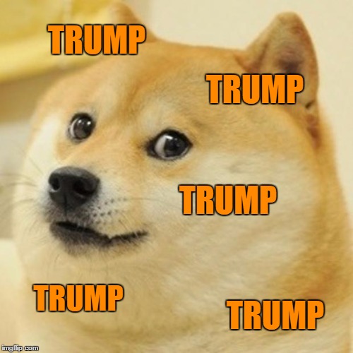 Doge Meme | TRUMP; TRUMP; TRUMP; TRUMP; TRUMP | image tagged in memes,doge | made w/ Imgflip meme maker