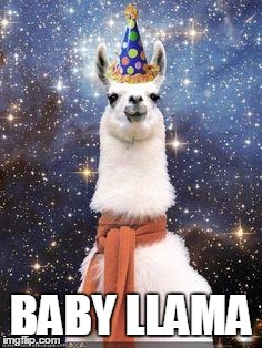 Drama Llama Birthday | BABY LLAMA | image tagged in drama llama birthday | made w/ Imgflip meme maker