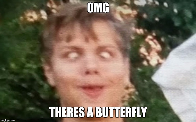 OMG; THERES A BUTTERFLY | image tagged in sebby | made w/ Imgflip meme maker