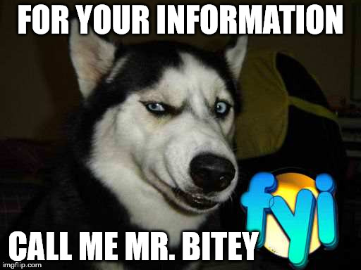 Mr. Bitey | FOR YOUR INFORMATION; CALL ME MR. BITEY | image tagged in fyi,for your information,information | made w/ Imgflip meme maker