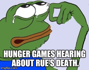 pepe.jpg | HUNGER GAMES HEARING ABOUT RUE'S DEATH. | image tagged in pepejpg | made w/ Imgflip meme maker