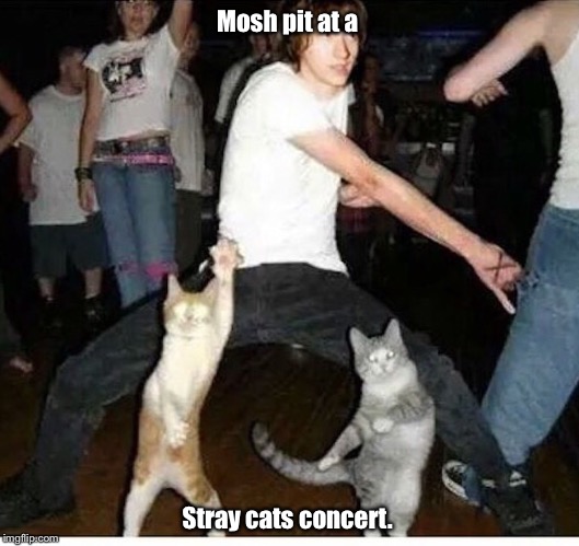 metal mosh pit woke meme