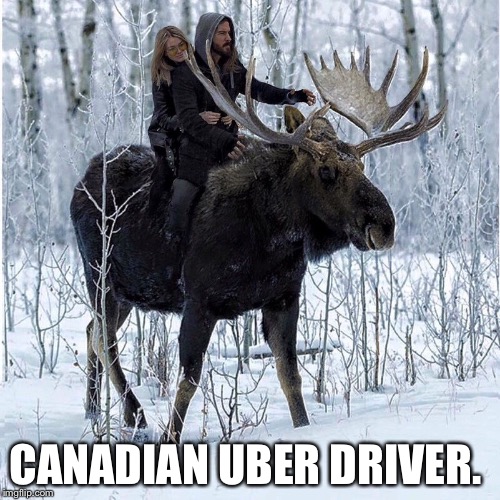 CANADIAN UBER DRIVER. | image tagged in meanwhile in canada | made w/ Imgflip meme maker