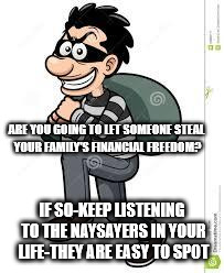 Thiefbag | ARE YOU GOING TO LET SOMEONE STEAL YOUR FAMILY'S FINANCIAL FREEDOM? IF SO-KEEP LISTENING TO THE NAYSAYERS IN YOUR LIFE-THEY ARE EASY TO SPOT | image tagged in thiefbag | made w/ Imgflip meme maker