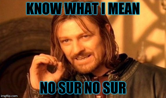 One Does Not Simply | KNOW WHAT I MEAN; NO SUR NO SUR | image tagged in memes,one does not simply | made w/ Imgflip meme maker