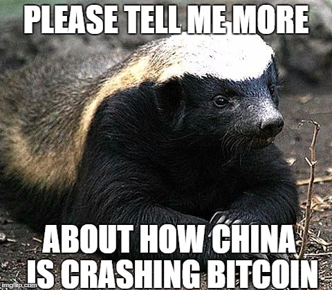  PLEASE TELL ME MORE; ABOUT HOW CHINA IS CRASHING BITCOIN | image tagged in honey badger no fucks | made w/ Imgflip meme maker