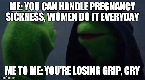 kermit me to me | ME: YOU CAN HANDLE PREGNANCY SICKNESS, WOMEN DO IT EVERYDAY; ME TO ME: YOU'RE LOSING GRIP, CRY | image tagged in kermit me to me | made w/ Imgflip meme maker