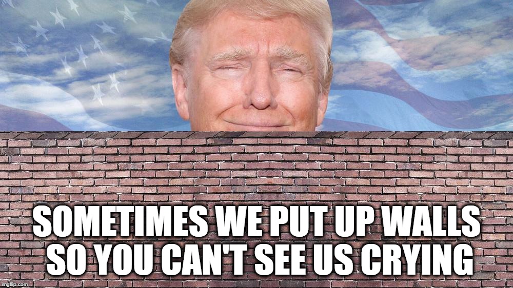 Sometimes We Put Up Walls So You Can't See US Crying | SOMETIMES WE PUT UP WALLS SO YOU CAN'T SEE US CRYING | image tagged in trump,wall,us,crying,president,mexico | made w/ Imgflip meme maker