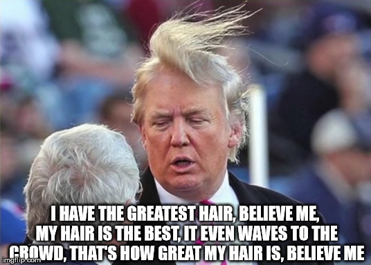 Trumps Greatest Hair | I HAVE THE GREATEST HAIR, BELIEVE ME, MY HAIR IS THE BEST, IT EVEN WAVES TO THE CROWD, THAT'S HOW GREAT MY HAIR IS, BELIEVE ME | image tagged in trump,donald trump,greatest,best,believe me | made w/ Imgflip meme maker
