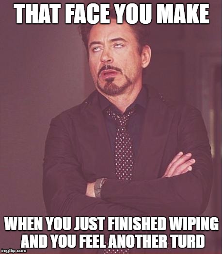 I'm reaching low for laughs these days | THAT FACE YOU MAKE; WHEN YOU JUST FINISHED WIPING AND YOU FEEL ANOTHER TURD | image tagged in memes,face you make robert downey jr | made w/ Imgflip meme maker