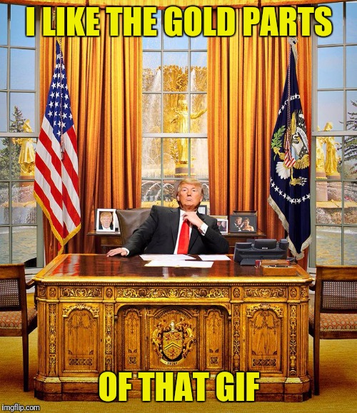 Trump Oval Office | I LIKE THE GOLD PARTS OF THAT GIF | image tagged in trump oval office | made w/ Imgflip meme maker