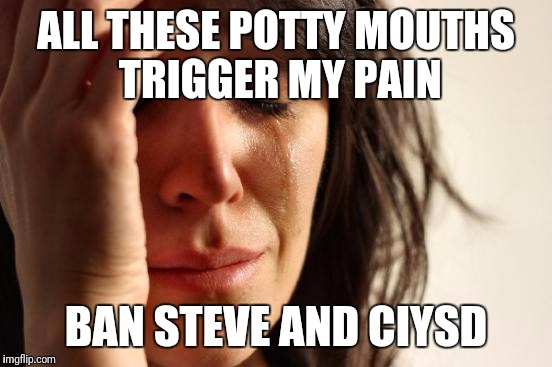 First World Problems Meme | ALL THESE POTTY MOUTHS TRIGGER MY PAIN; BAN STEVE AND CIYSD | image tagged in memes,first world problems | made w/ Imgflip meme maker