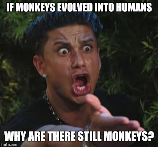 DJ Pauly D Meme | IF MONKEYS EVOLVED INTO HUMANS; WHY ARE THERE STILL MONKEYS? | image tagged in memes,dj pauly d | made w/ Imgflip meme maker
