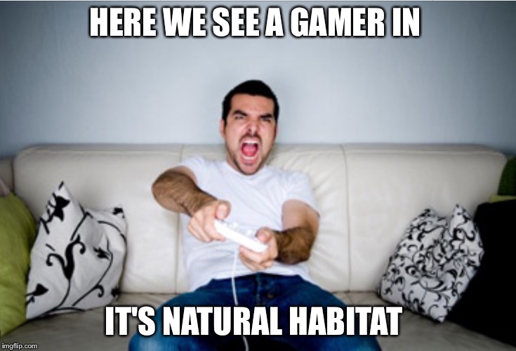 HERE WE SEE A GAMER IN; IT'S NATURAL HABITAT | image tagged in rage | made w/ Imgflip meme maker