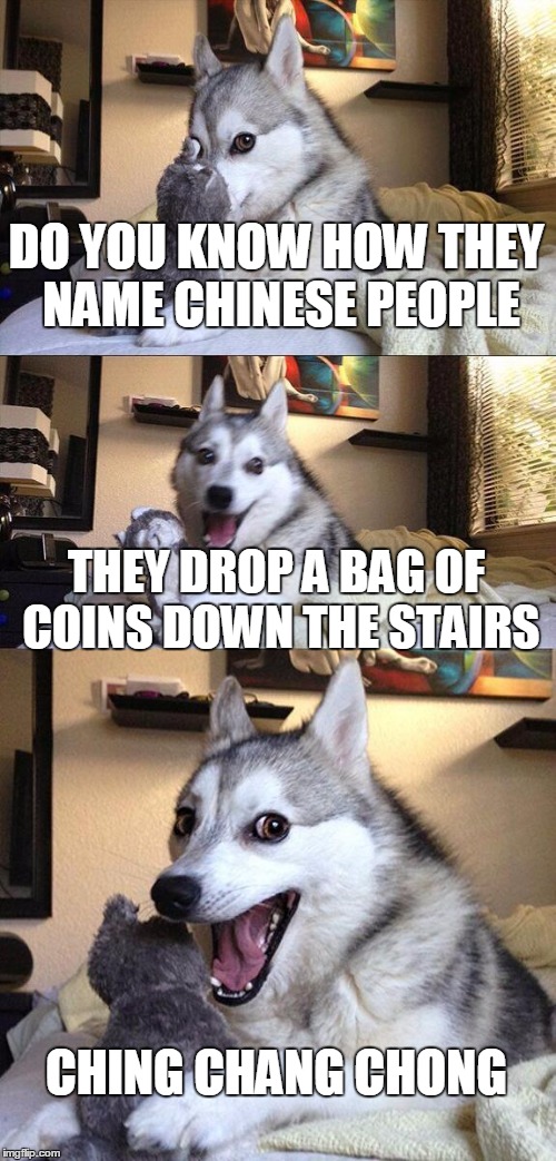 Bad Pun Dog | DO YOU KNOW HOW THEY NAME CHINESE PEOPLE; THEY DROP A BAG OF COINS DOWN THE STAIRS; CHING CHANG CHONG | image tagged in memes,bad pun dog | made w/ Imgflip meme maker