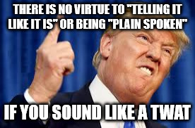  THERE IS NO VIRTUE TO "TELLING IT LIKE IT IS" OR BEING "PLAIN SPOKEN"; IF YOU SOUND LIKE A TWAT | image tagged in trump | made w/ Imgflip meme maker