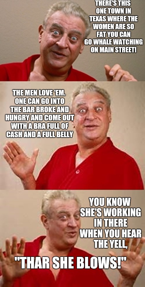 Fat women | THERE'S THIS ONE TOWN IN TEXAS WHERE THE WOMEN ARE SO FAT YOU CAN GO WHALE WATCHING ON MAIN STREET! THE MEN LOVE 'EM. ONE CAN GO INTO THE BAR BROKE AND HUNGRY AND COME OUT WITH A BRA FULL OF CASH AND A FULL BELLY; YOU KNOW SHE'S WORKING IN THERE WHEN YOU HEAR THE YELL, "THAR SHE BLOWS!" | image tagged in bad pun dangerfield,fat women,whale watching | made w/ Imgflip meme maker