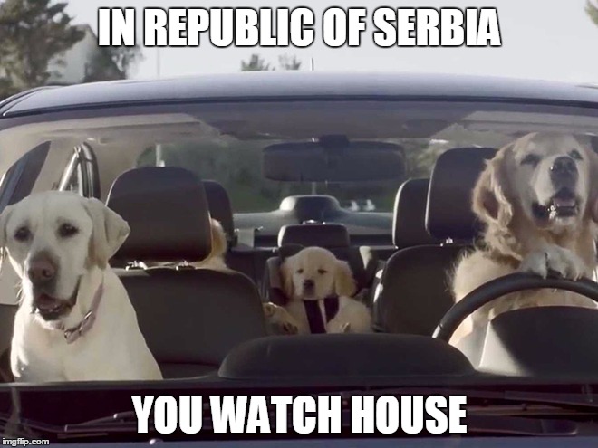 IN REPUBLIC OF SERBIA | IN REPUBLIC OF SERBIA; YOU WATCH HOUSE | image tagged in republic,serbia,you,watch,house,dog | made w/ Imgflip meme maker